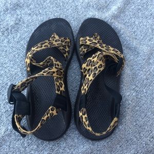 Cheetah chacos